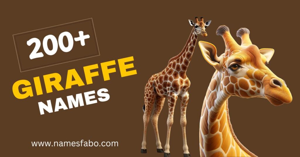 200+ Giraffe Names with Meaning (+Generator)