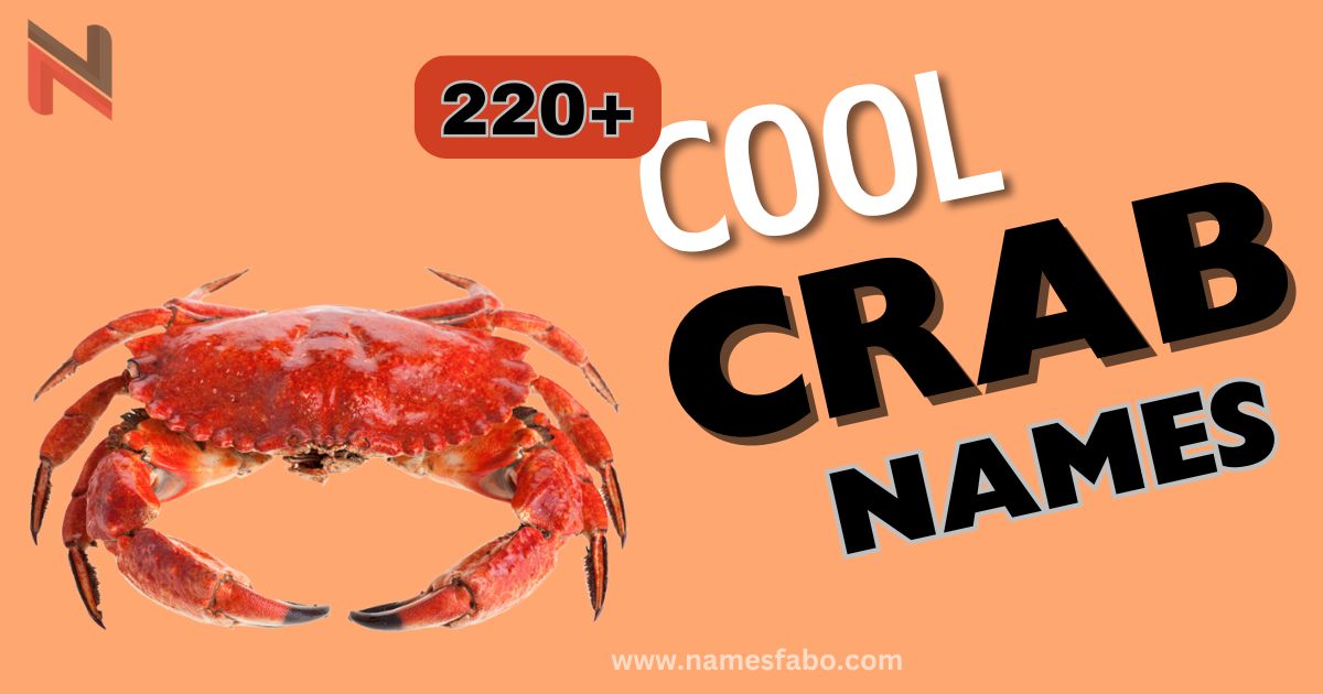 220+ Cool Crab Names With Meaning