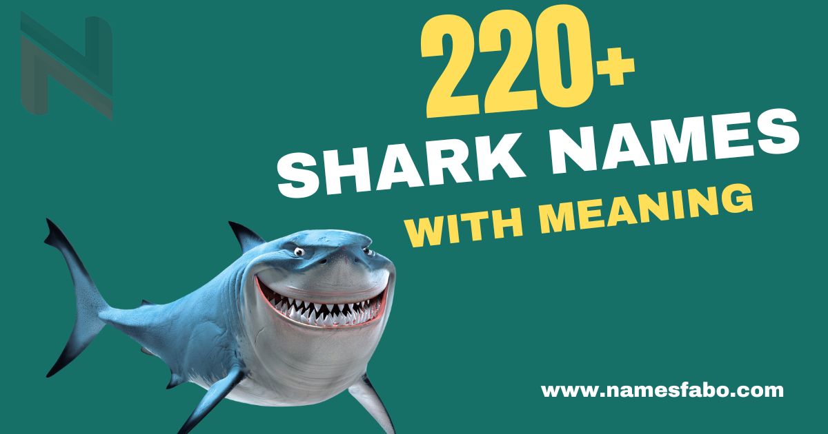 220+ Unique Shark Names With AI Generator