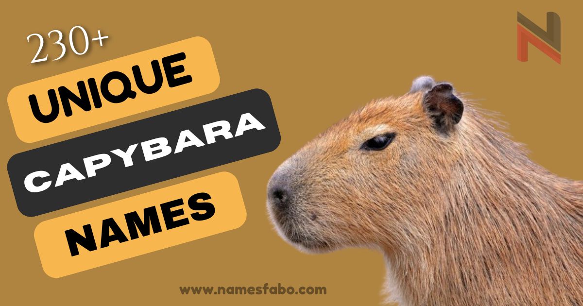 230+ Unique & Cool Capybara Names with Meanings