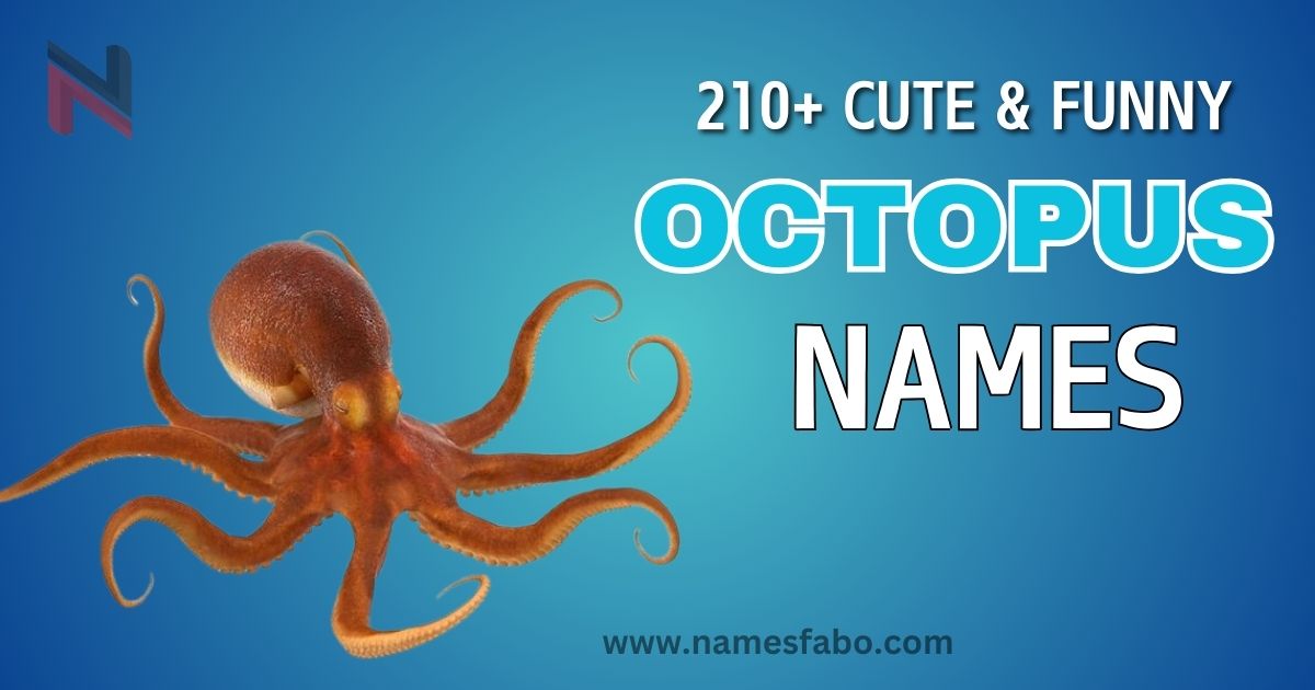 240+ Cute & Funny Octopus Names + Generator