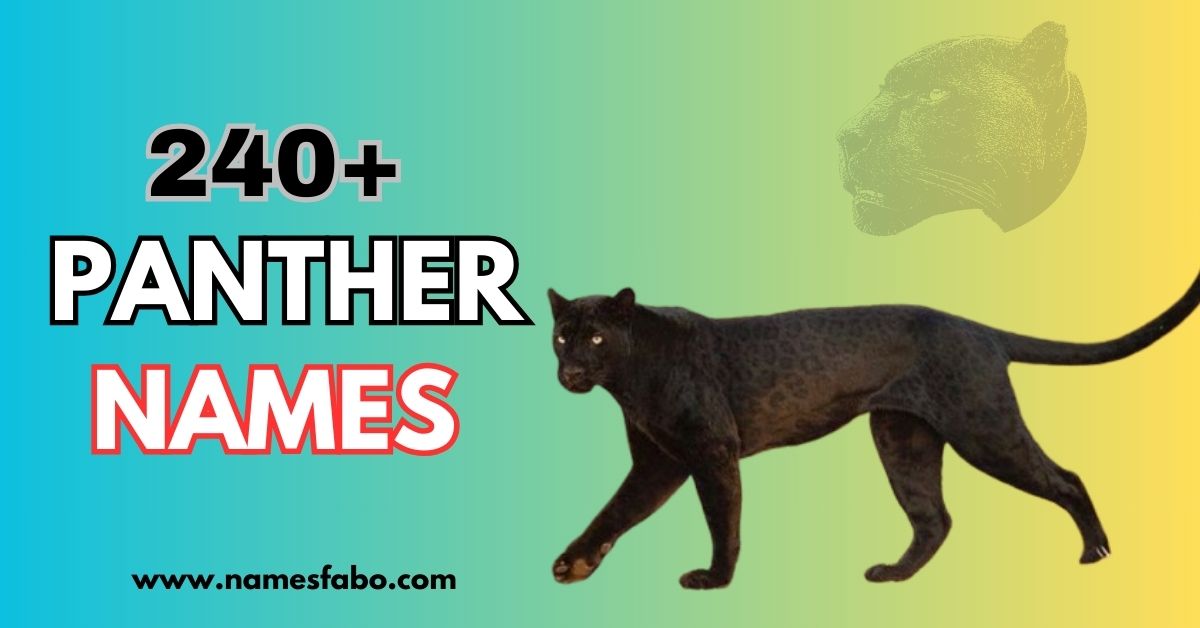 240+ Panther Names With Meaning (+Generator)