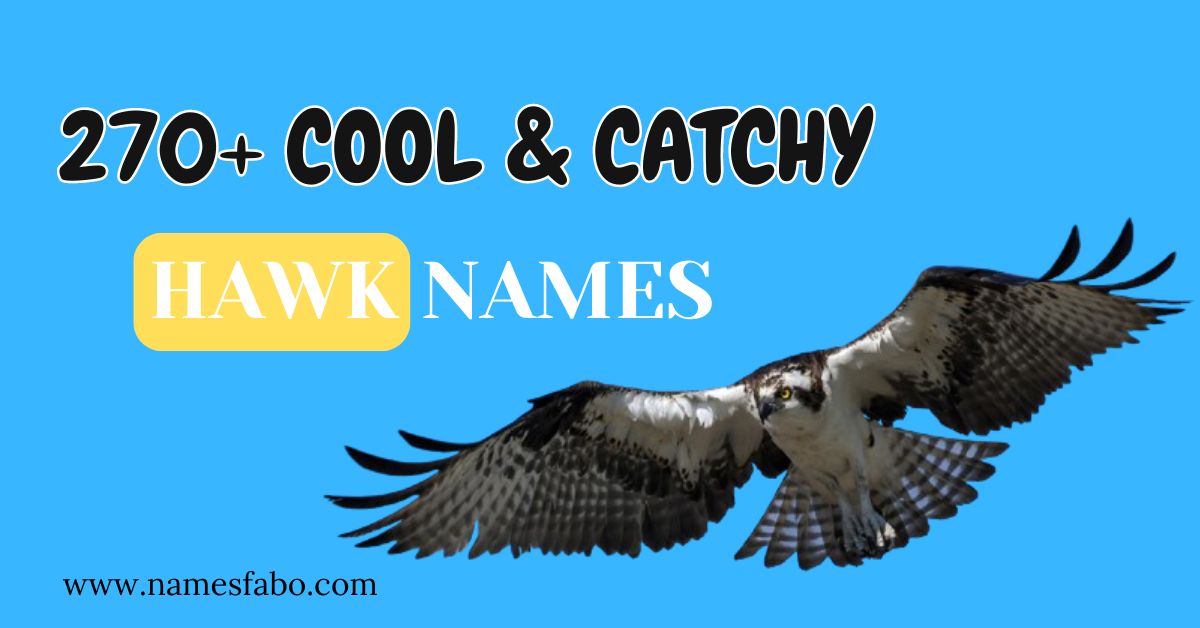 250+ Cool & Catchy Hawk Names With Meanings