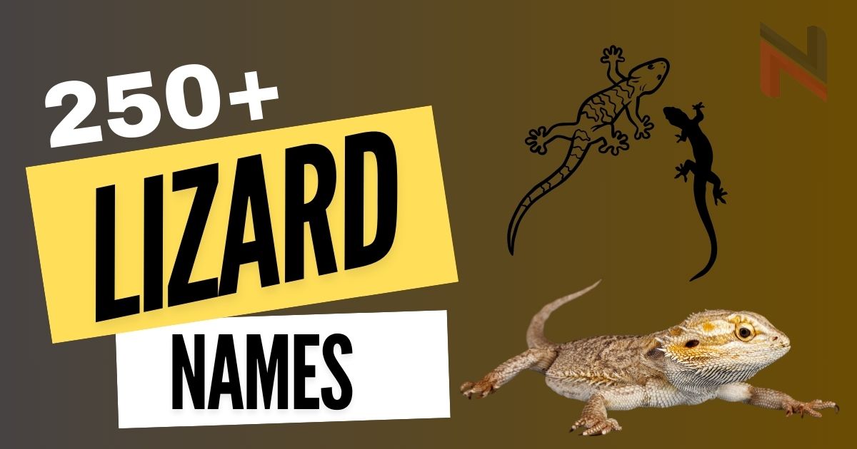 250+ Creative Lizard Names + AI Generator