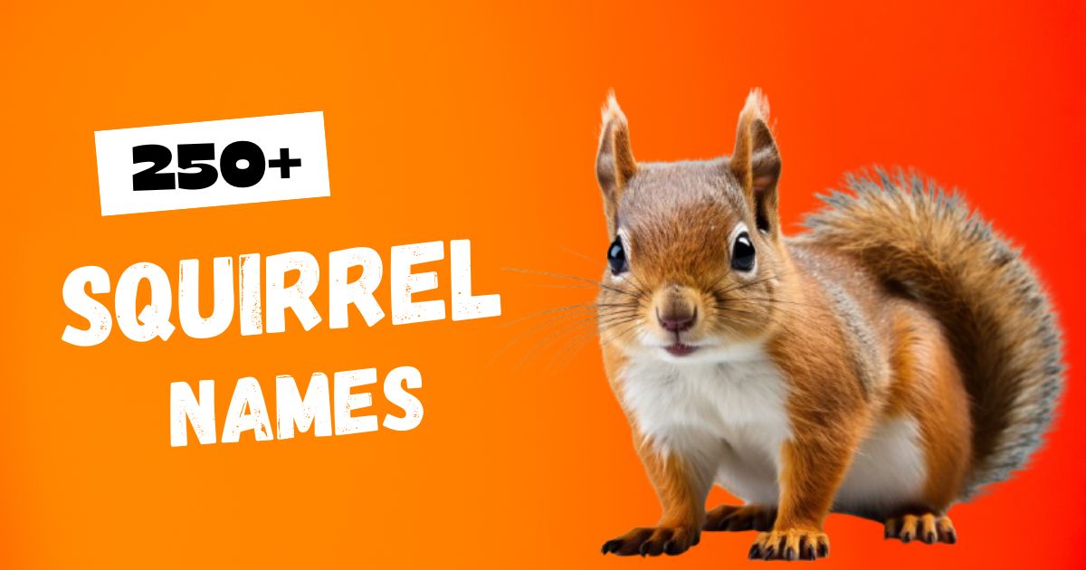 250+ Cute & Unique Squirrel Names with Meaning