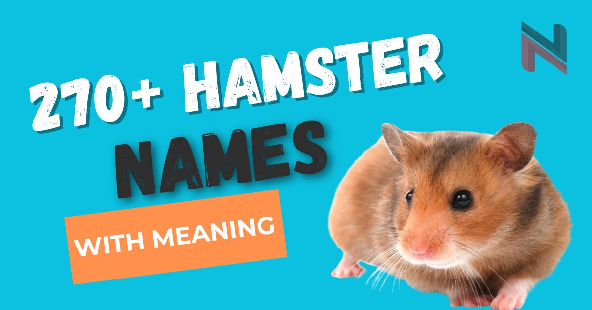 270+ Hamster Names with Meaning