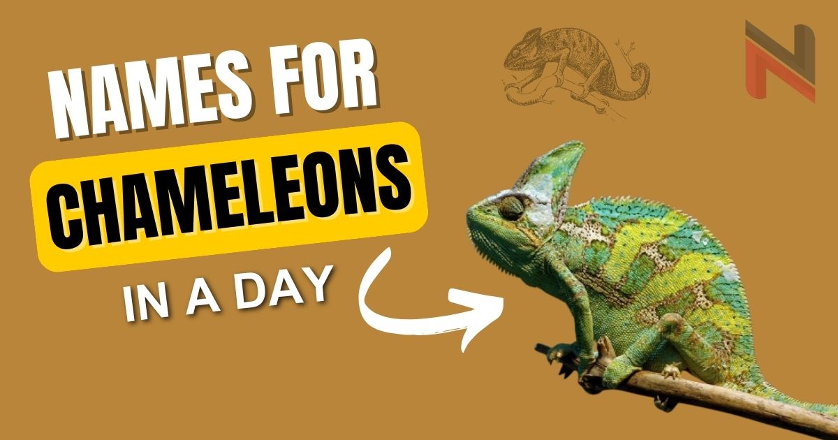 280+ Names for Chameleons [Unique & Meaningful Ideas]