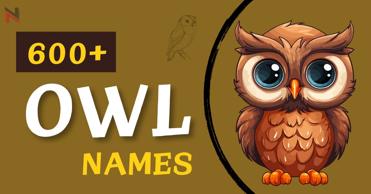 290+ Cute Owl Names for Your Pet (& Generate Yours)