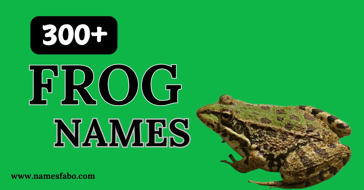 291+ Unique Frog Names With Generator (Best Ideas)