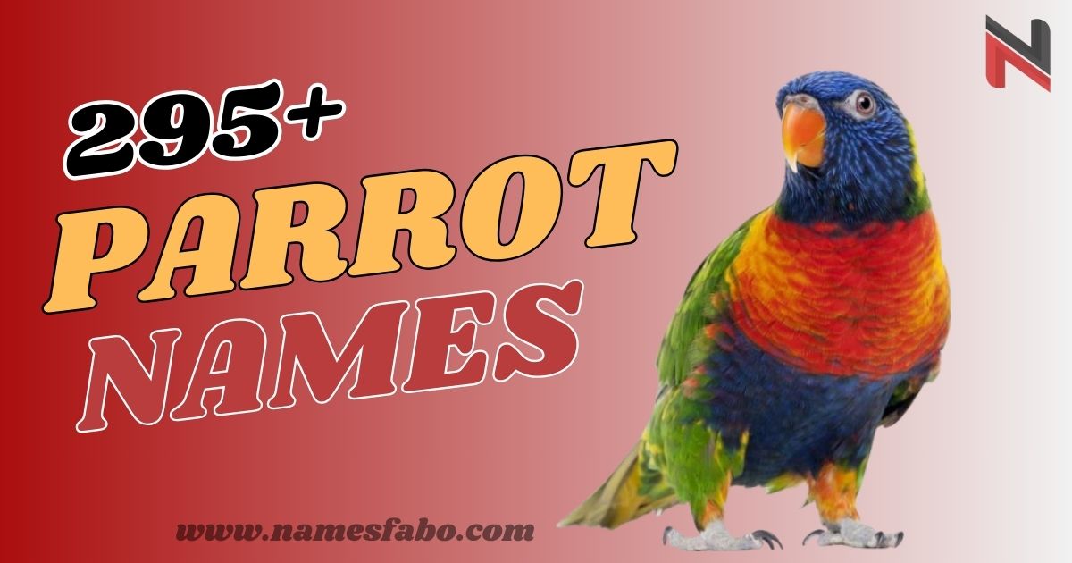 295+ Parrot Names with Meanings (+Generator)