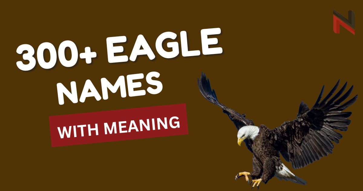 300+ Best Eagle Names & Meanings + AI Generator