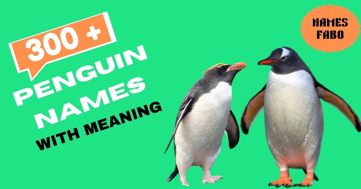 300+ Cute Penguin Names Ideas