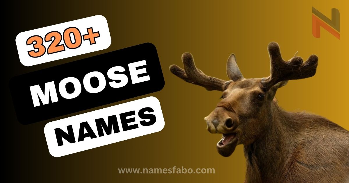 320+ Best Moose Names with Meaning