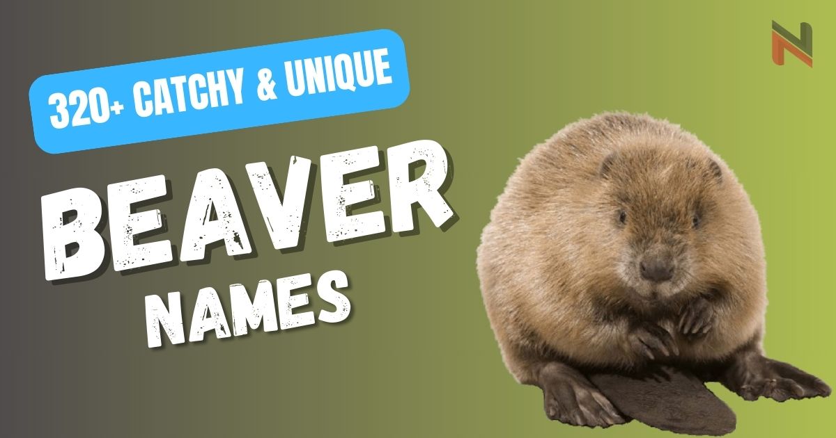 320+ Catchy & Unique Beaver Names [Meaningful Ideas]