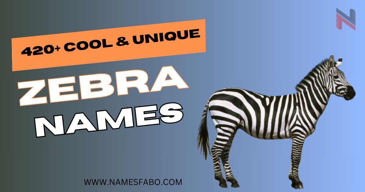 420+ Cool Zebra Names With Meaning + Generator