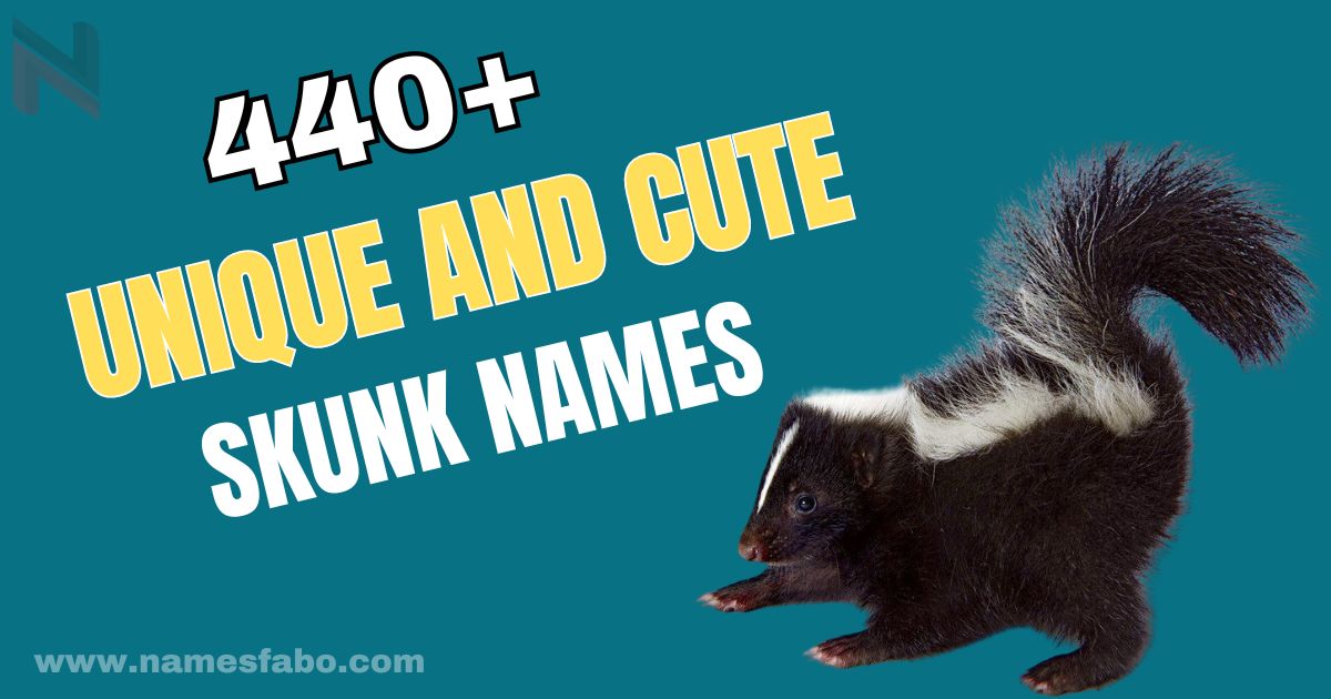 440+ Unique and Cute Skunk Names With Meaning