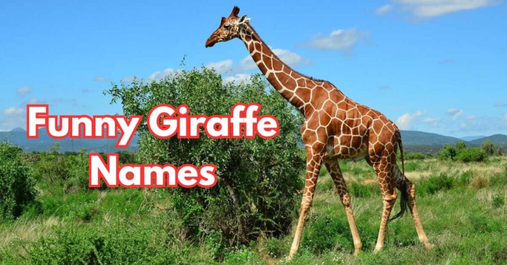 Badass Names for Giraffe 