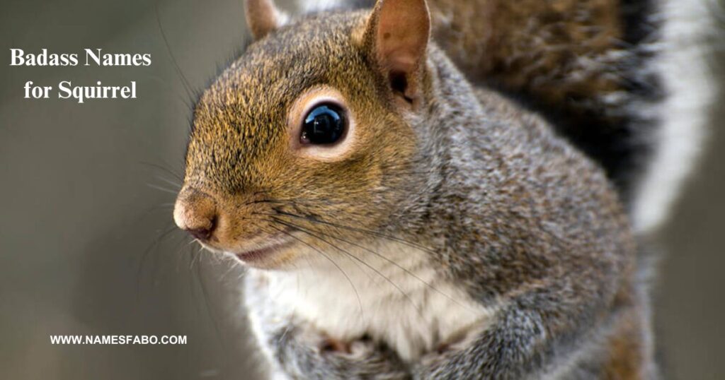 Badass Names for Squirrel