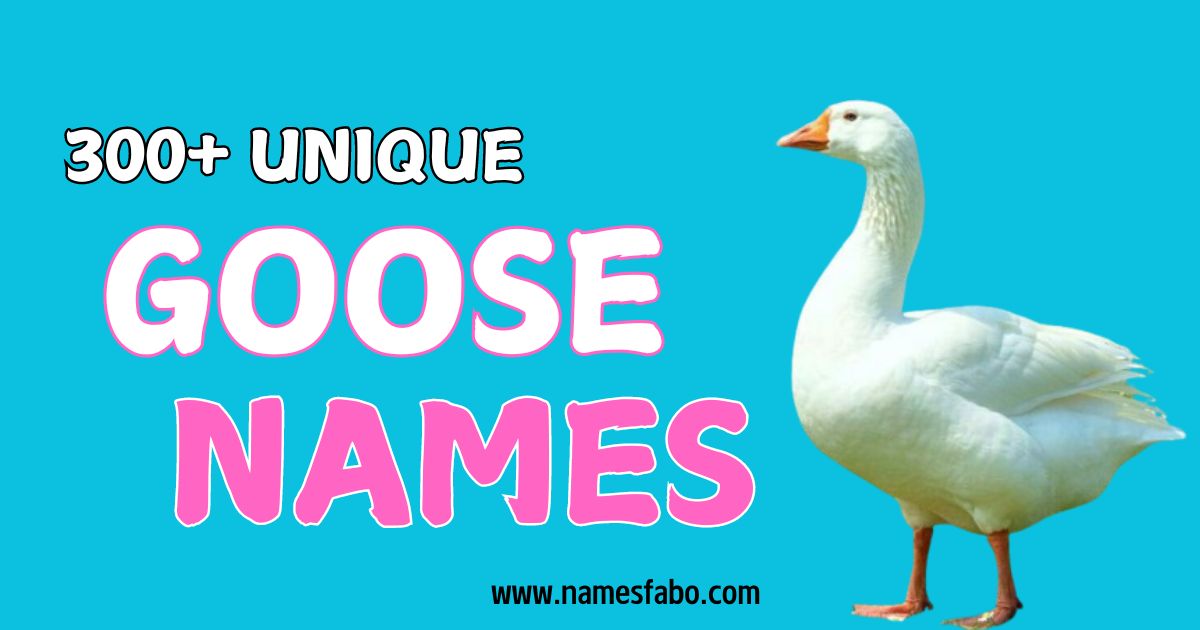 Best Goose Names With Meaning [280+ Ideas]