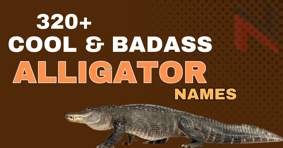 320+ Cool & Badass Alligator Names With Meanings