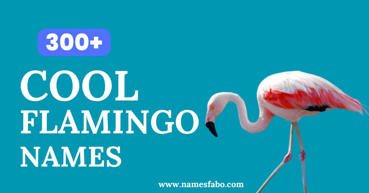 Cool Flamingo Names