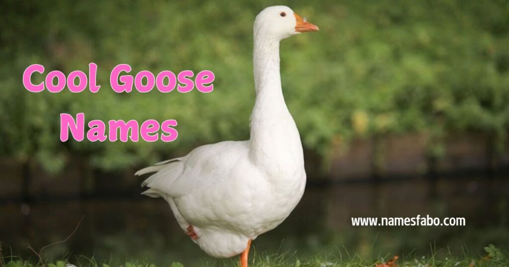 Cool Goose Names