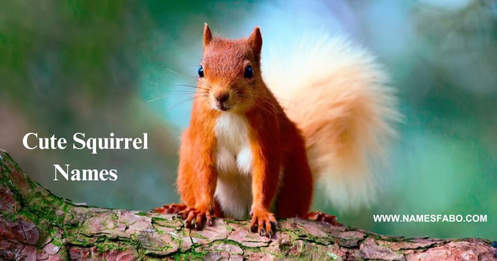 Cute Squirrel Names