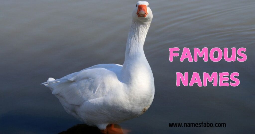 Famous Goose Names