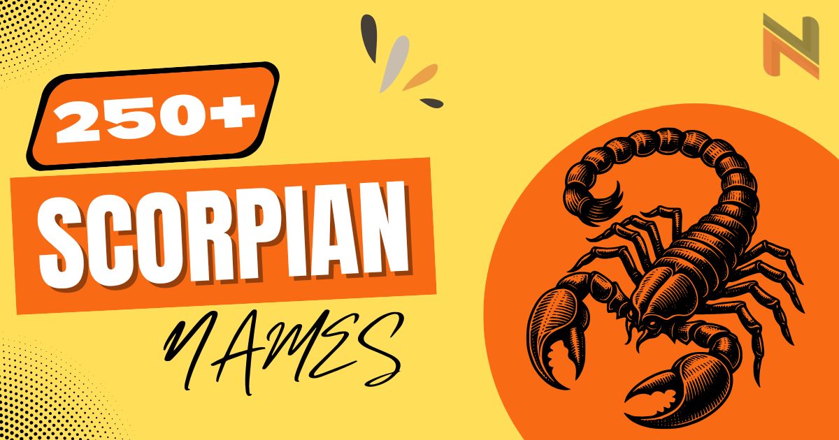 Scorpion Names With Meanings [250+ Fun Ideas]