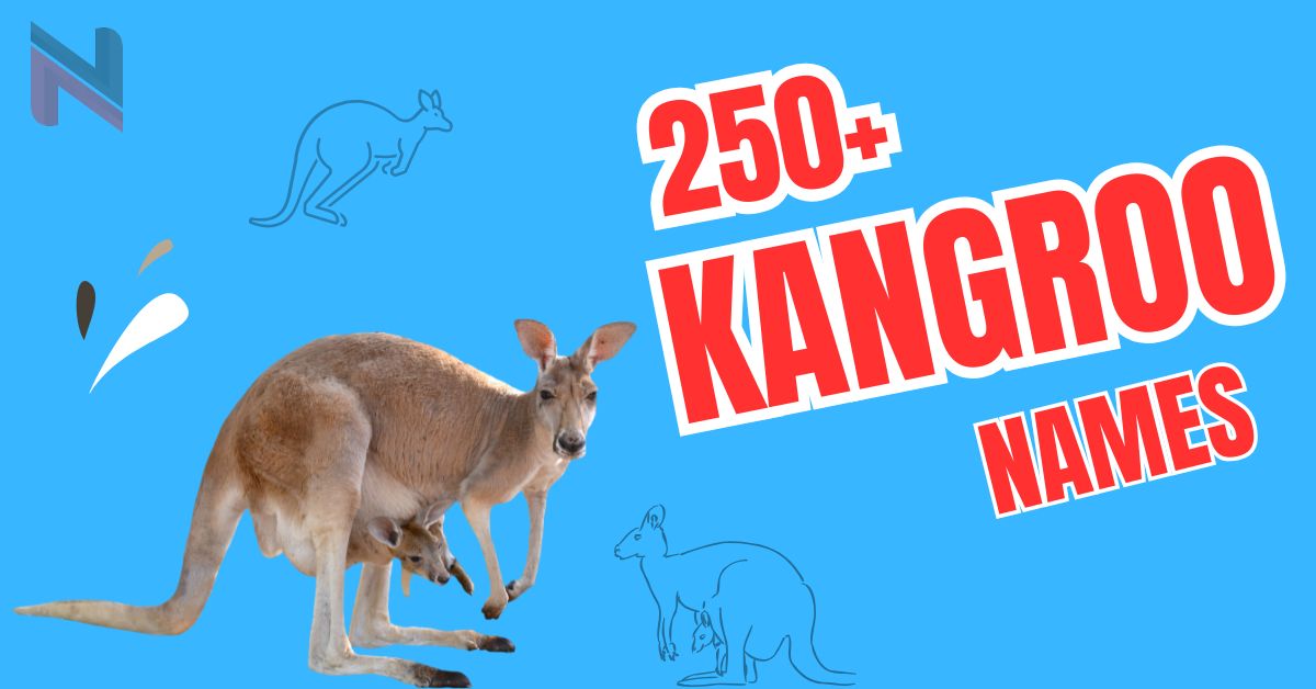 250+ Cute & Funny Kangaroo Names + AI Generator