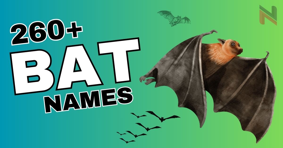 260+ Unique Bat Names with AI Generator