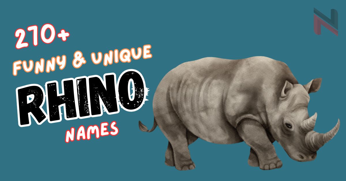 270+ Funny & Unique Rhino Names (+Generator)