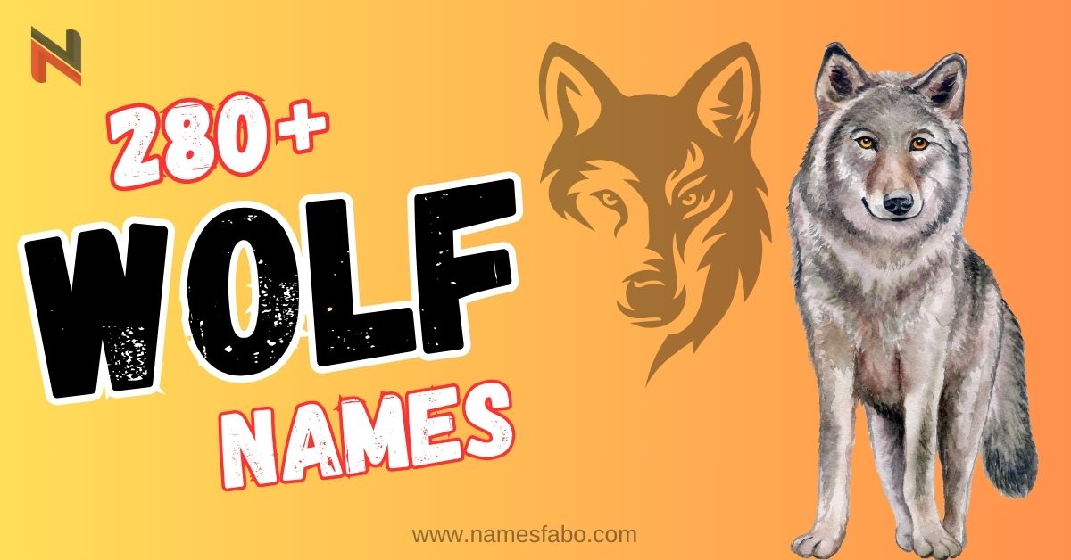 280+ Cool & Funny Wolf Names + AI Generator