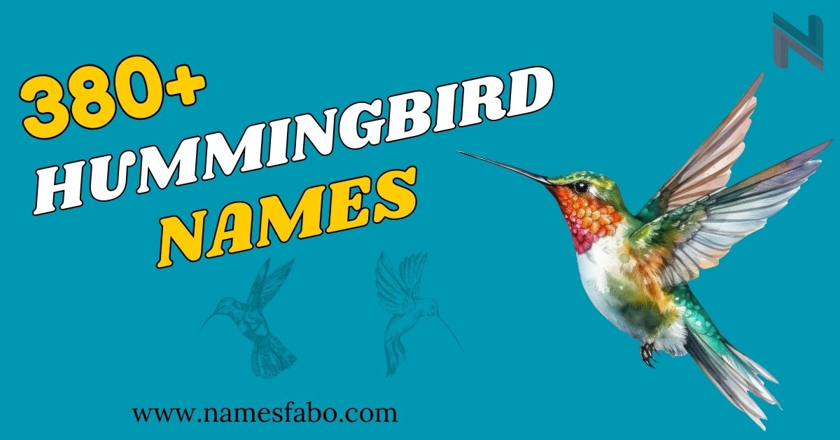 Hummingbird Names