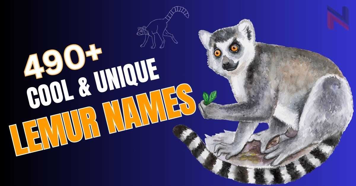 490+ Cool & Unique Lemur Names [Meaningful Ideas]