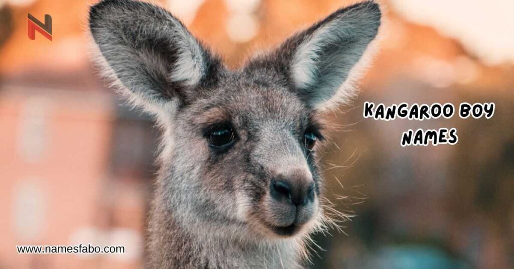 Kangaroo Boy Names