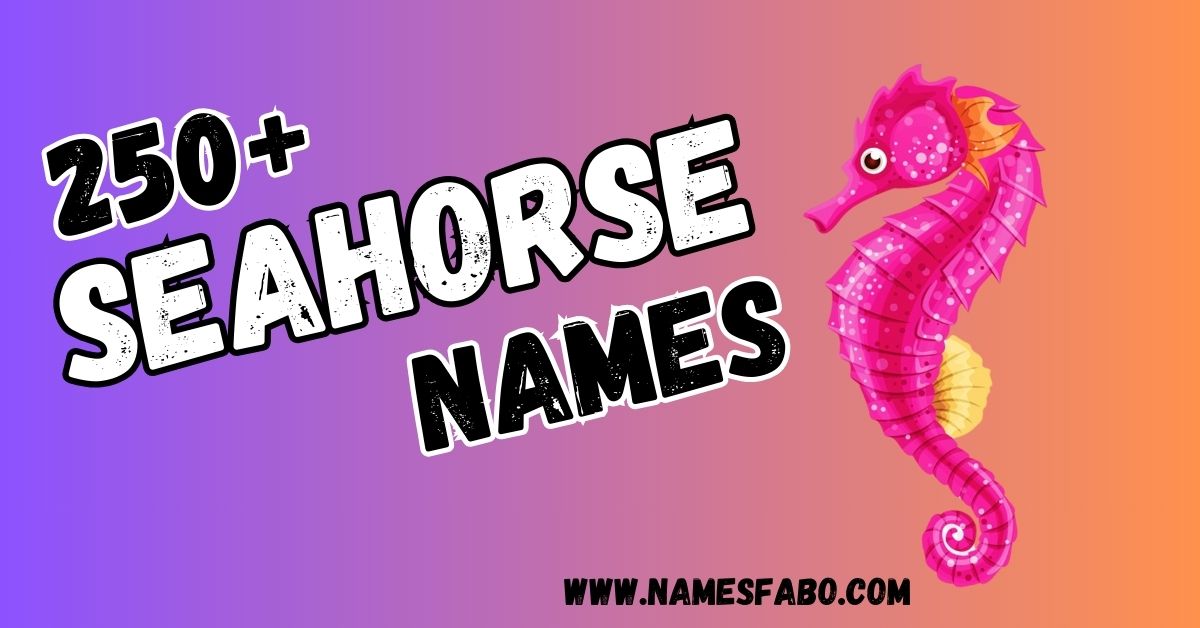 Seahorse Names