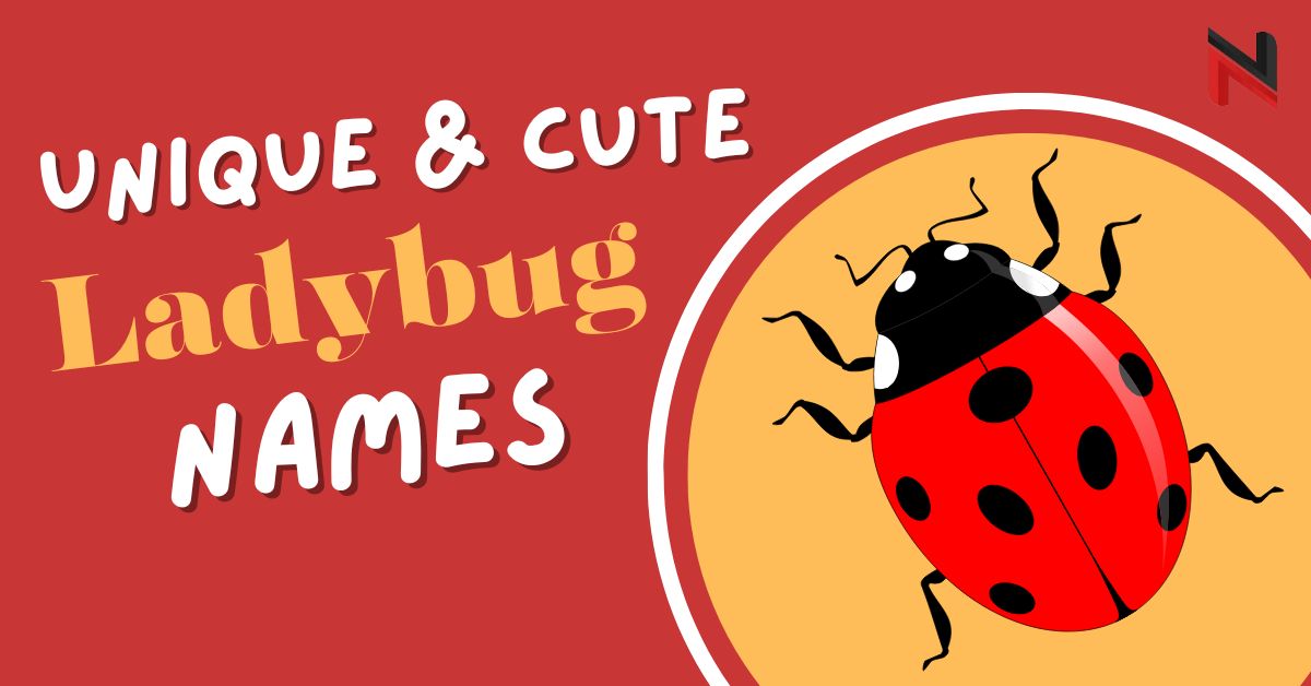 Unique & Cute Ladybug Names [240+ Meaningful Ideas]