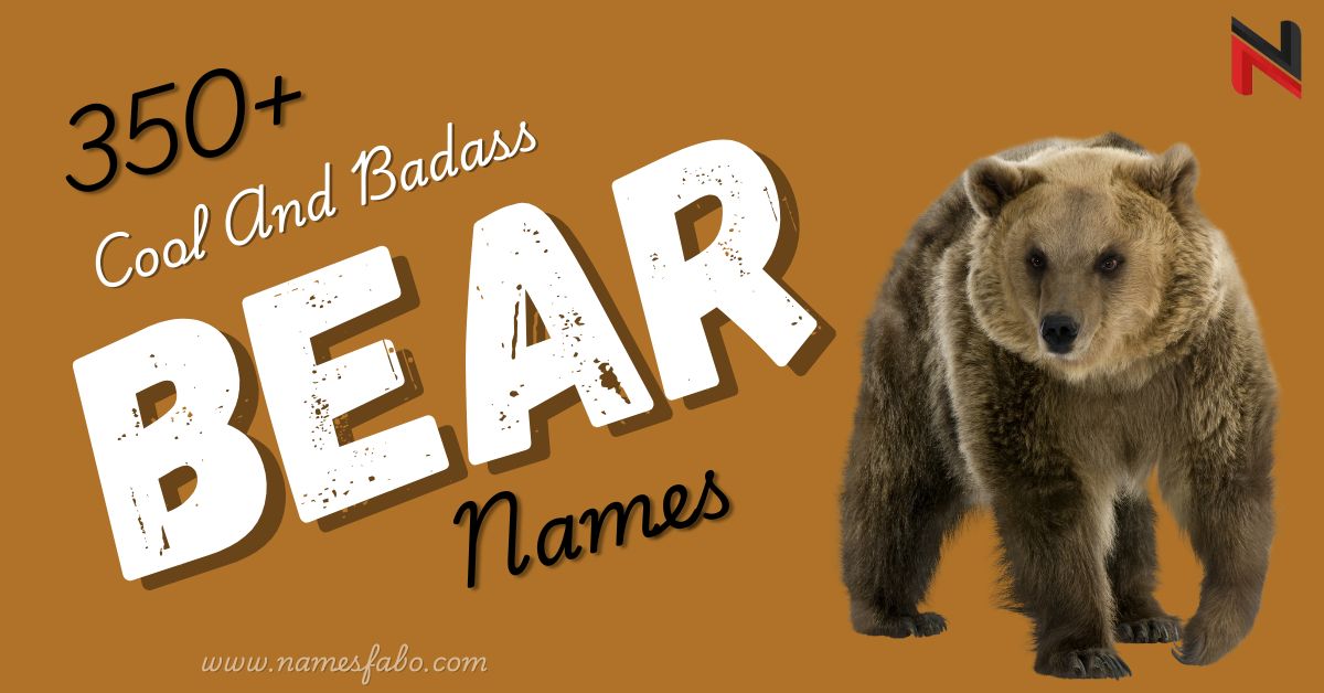 Bear Names