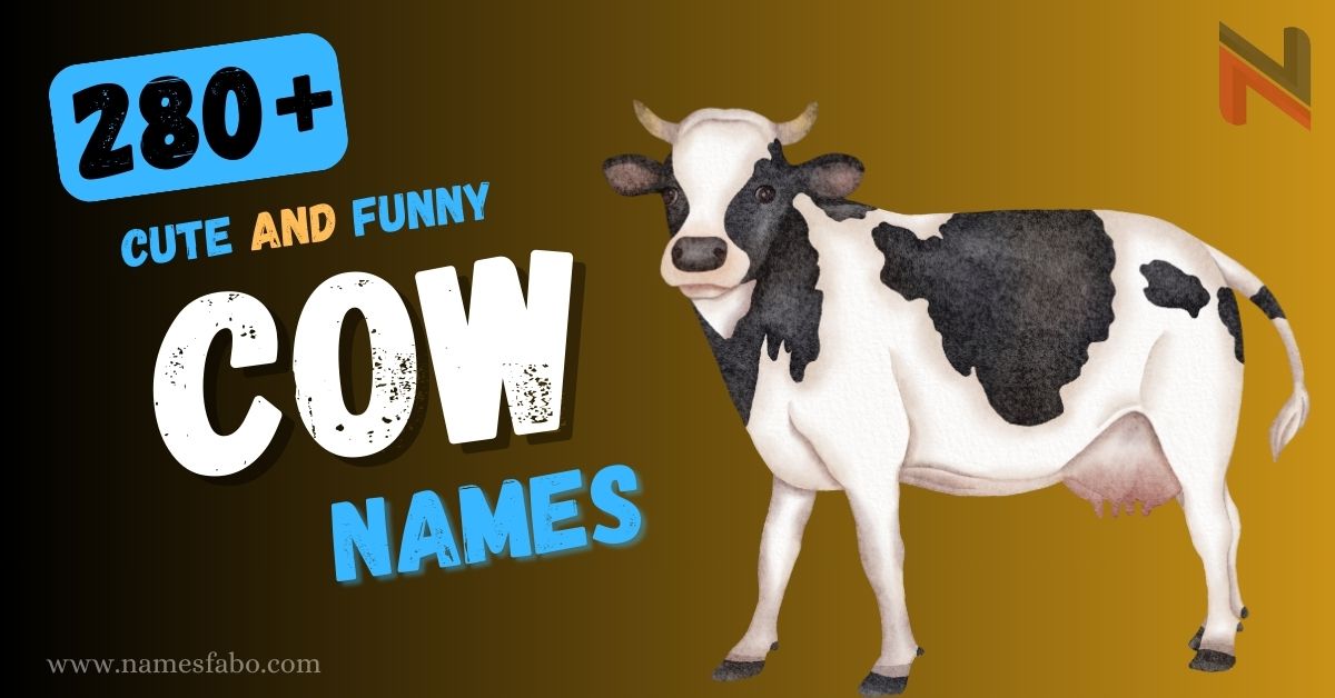 Cow Names