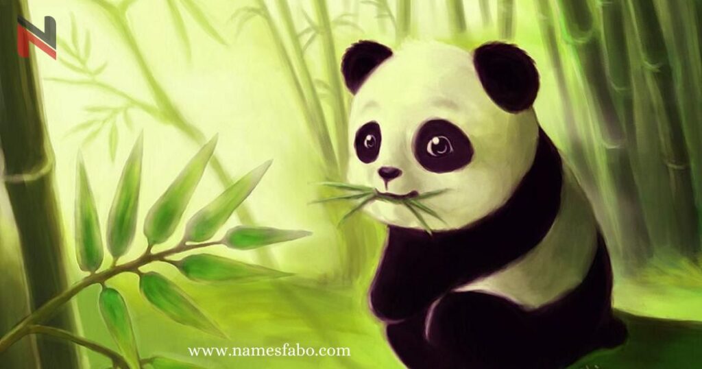 Cute Panda Names