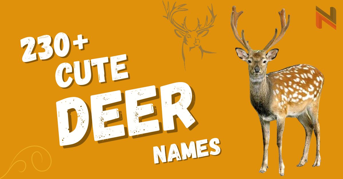 230+ Cool And Catchy Deer Names With Name Generator