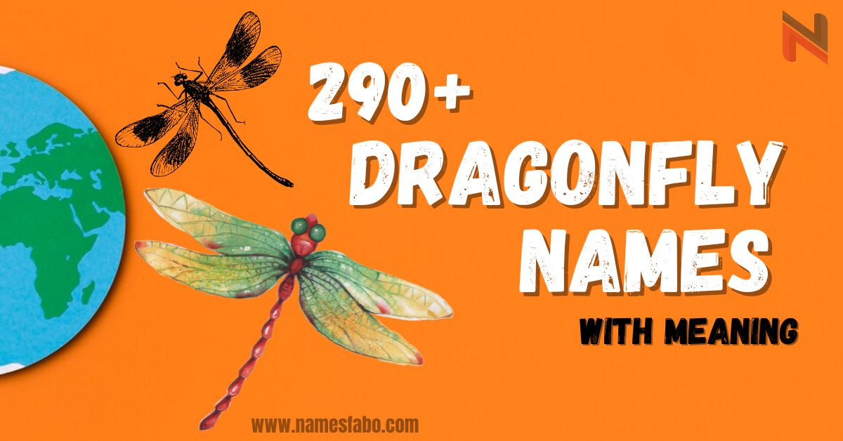 Dragonfly Names