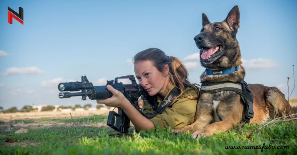 Female Military Dog Names