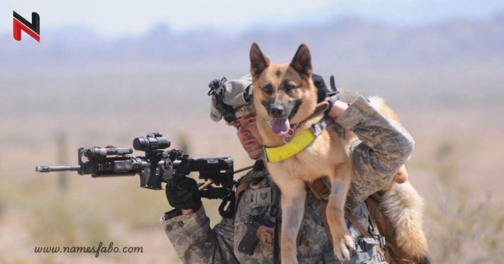 Funny Military Dog Names