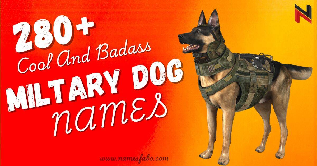 Military Dog Names