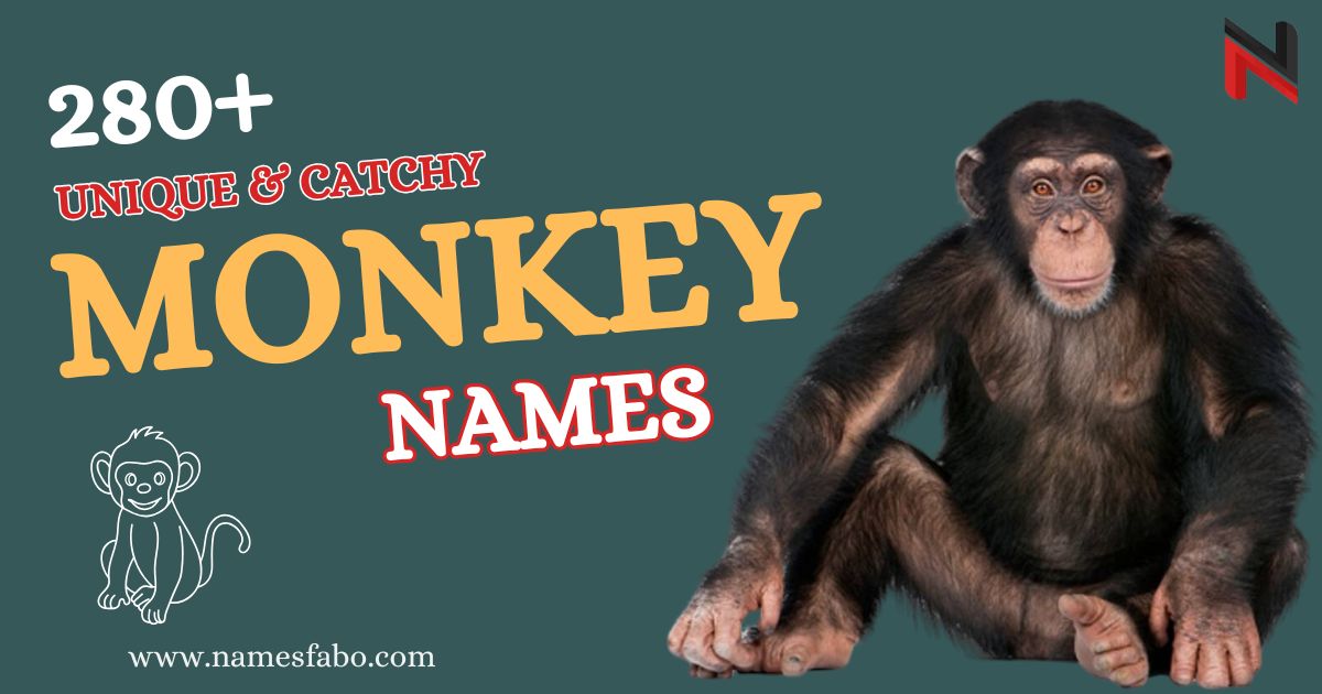 Monkey Names