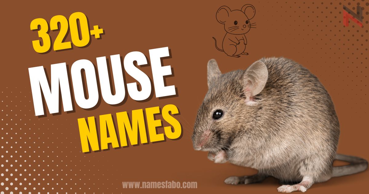 Mouse Names