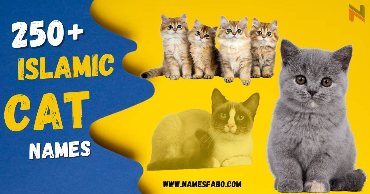 Muslim Cat Names