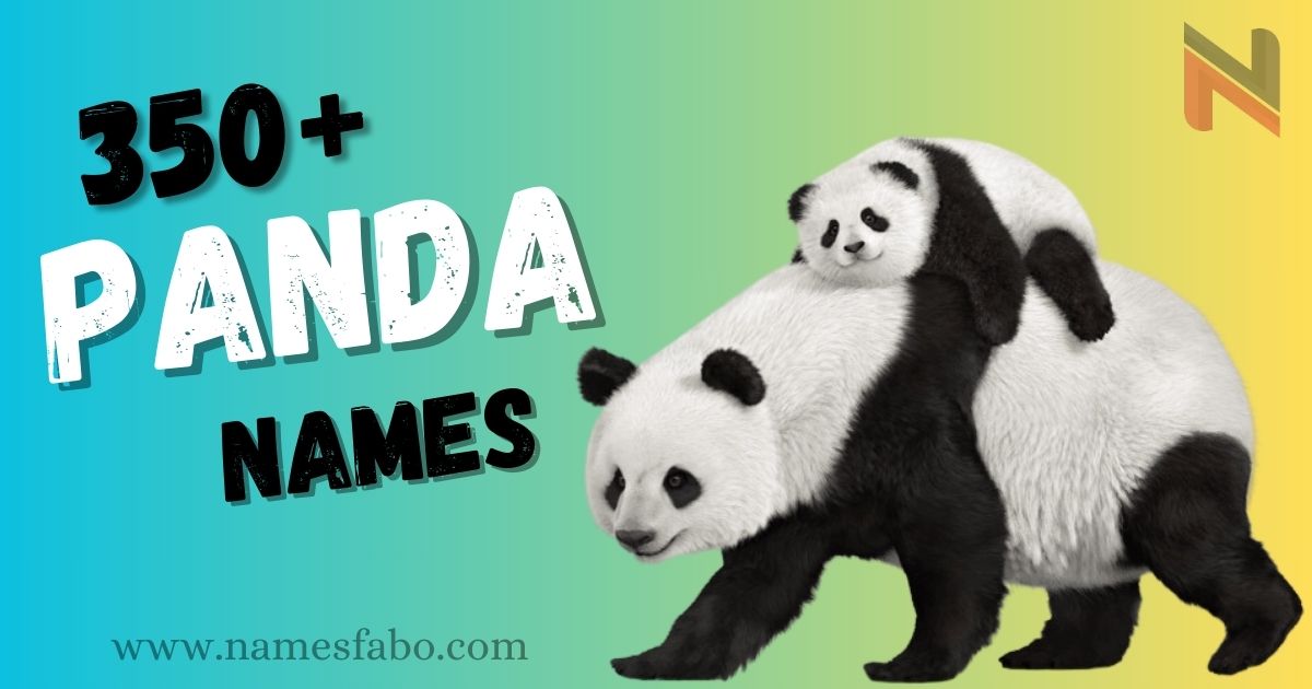 Panda Names